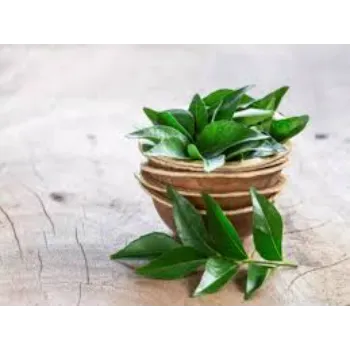 Excellent Dry Curry Leaves